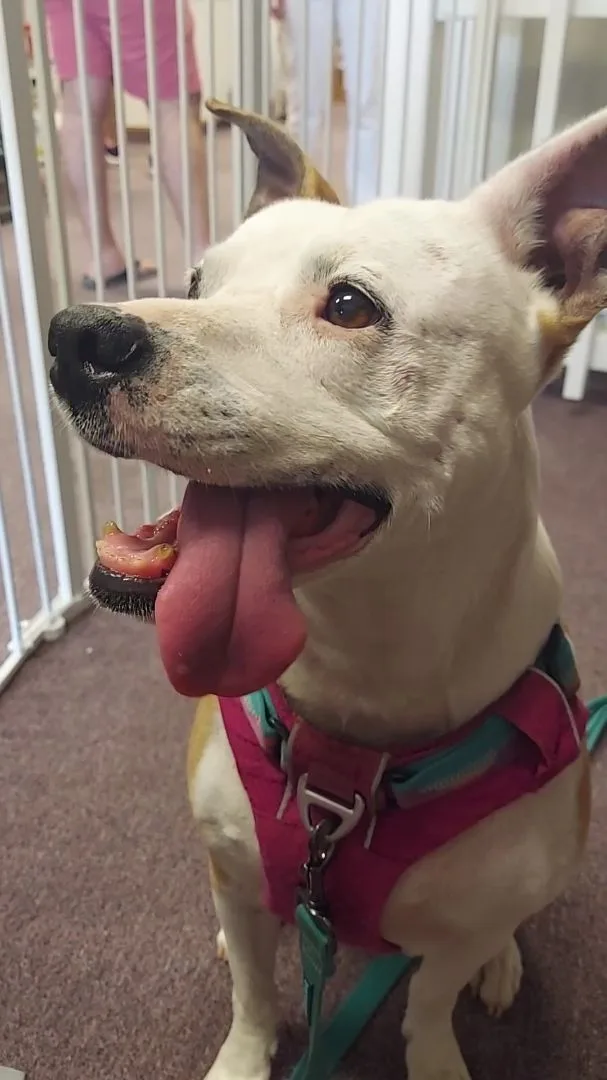 May Belle thumbnail 5