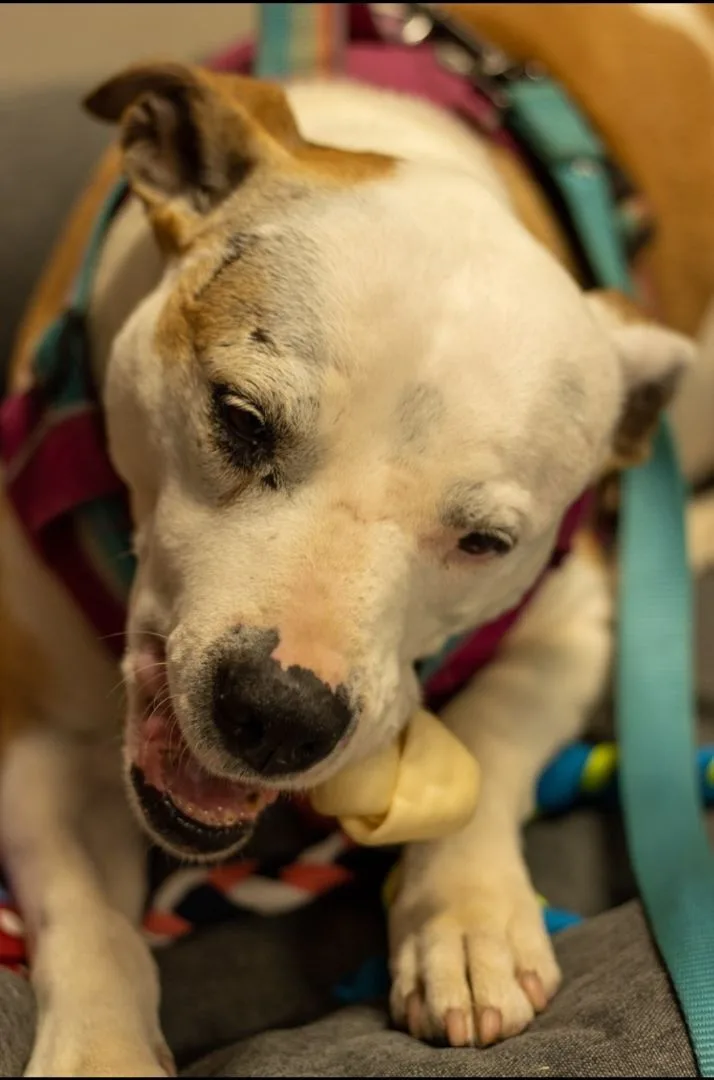 May Belle thumbnail 6