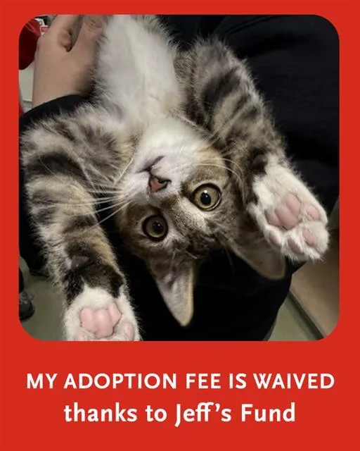 Benny