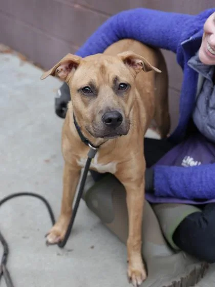 Mingy Gee thumbnail 2