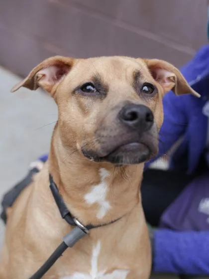 Mingy Gee thumbnail 3