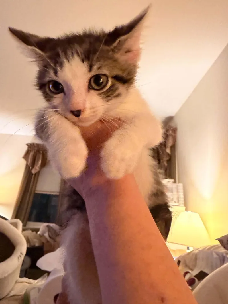 Larry thumbnail 3