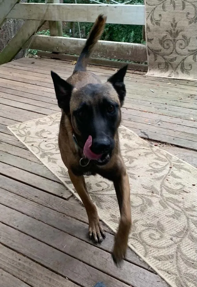 Kingston  located in thumbnail 2