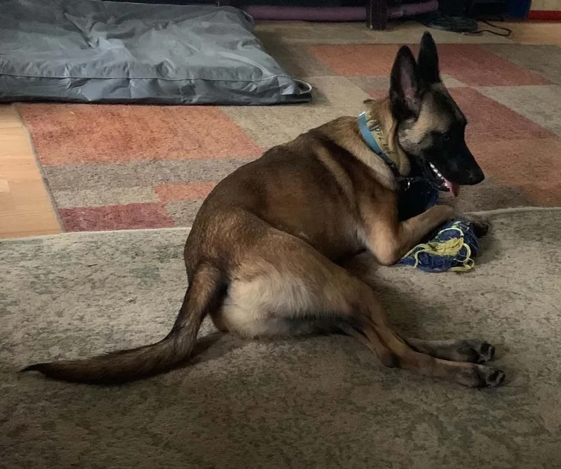Kingston  located in thumbnail 4