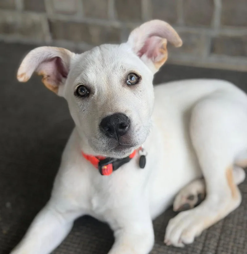 Greenwich thumbnail 2