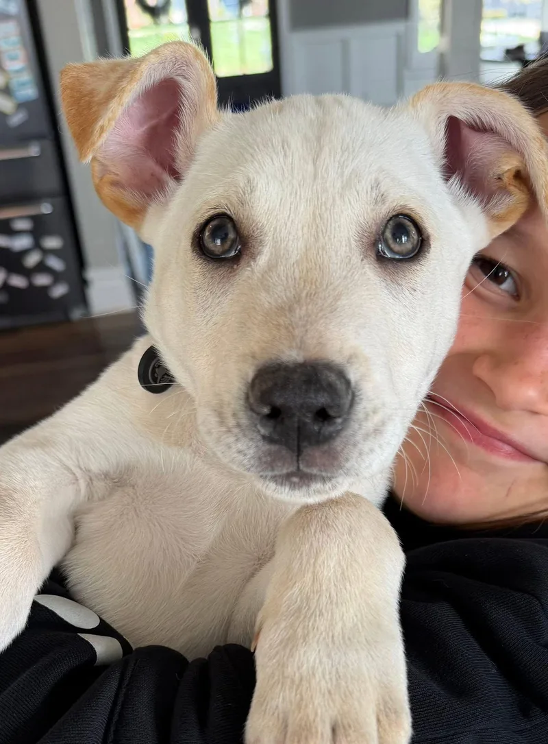 Greenwich thumbnail 3