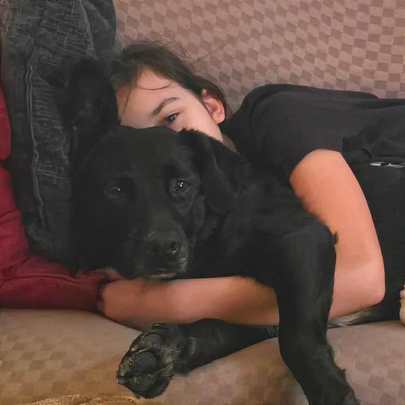 Buddy Holly thumbnail 2