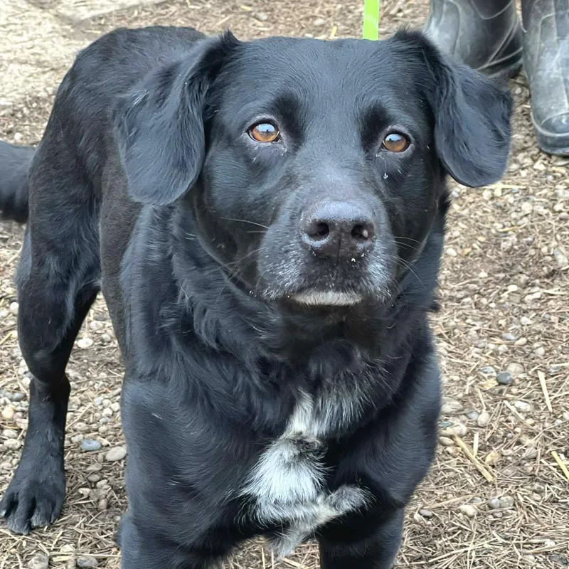 Buddy Holly thumbnail 3