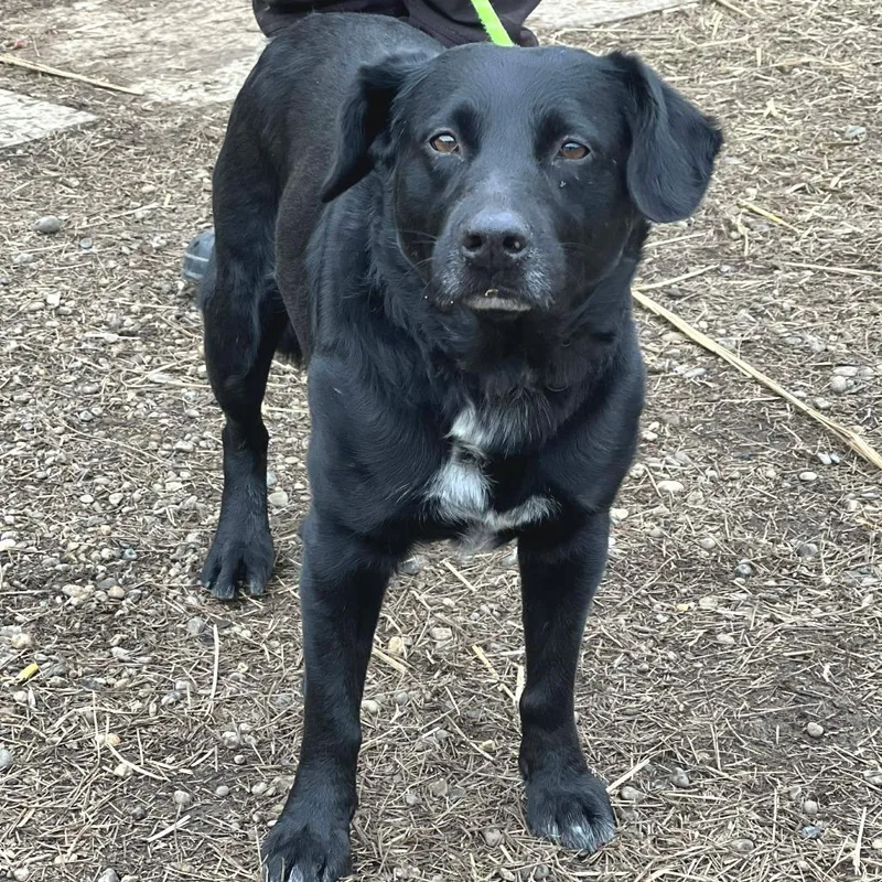 Buddy Holly thumbnail 6