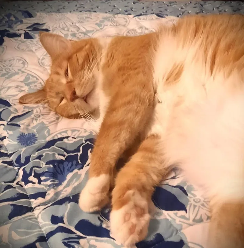 Elizabeth thumbnail 2