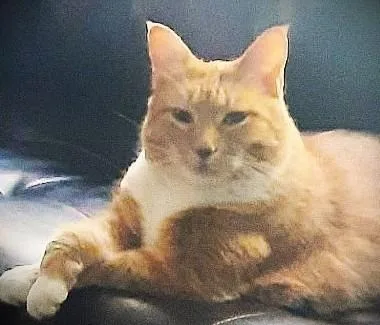 Elizabeth thumbnail 3