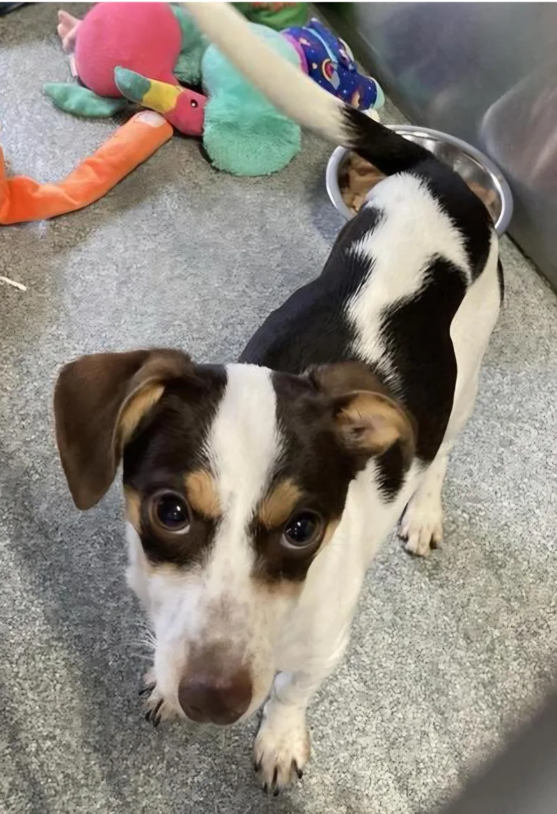 Brooklyn thumbnail 2