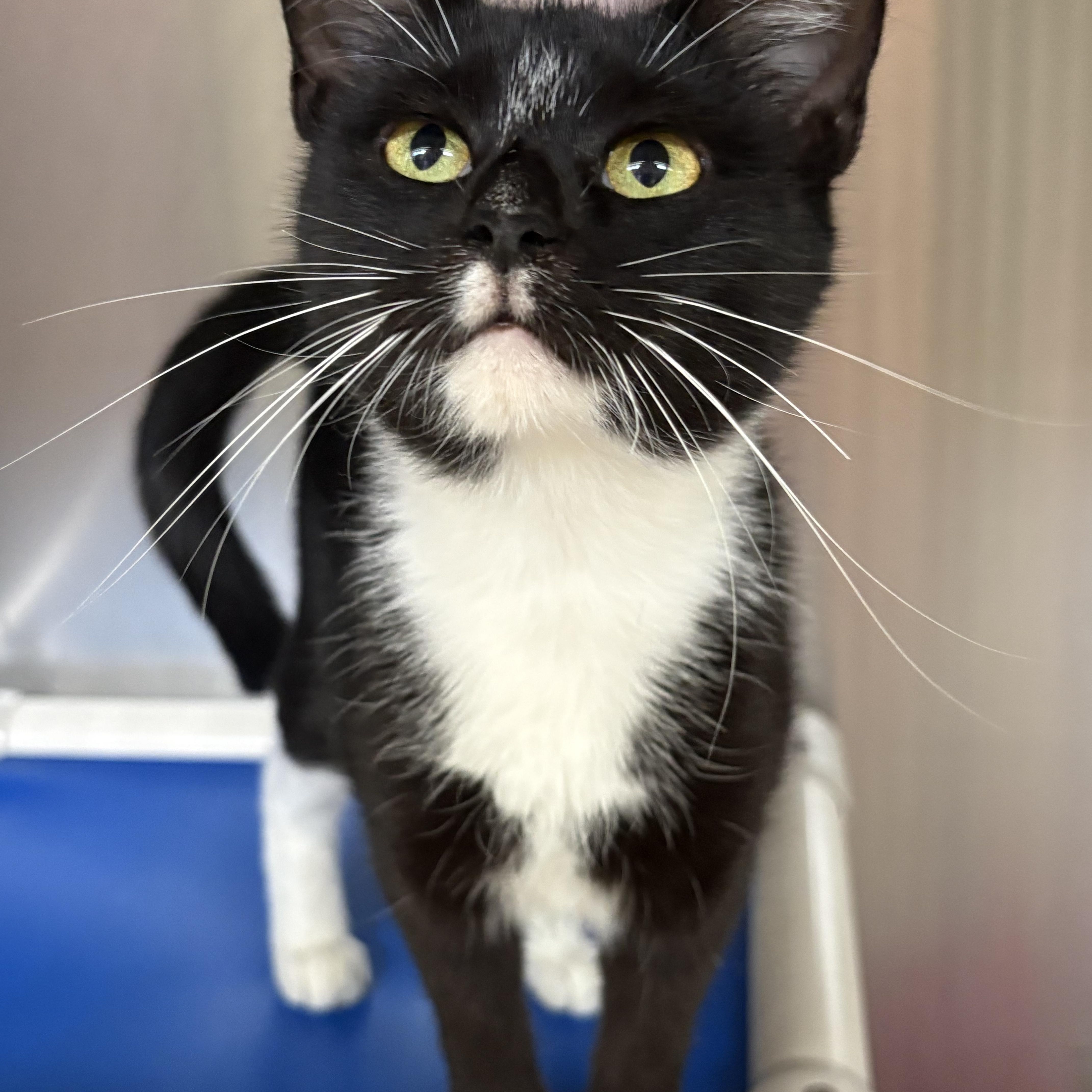 Brandi thumbnail 2