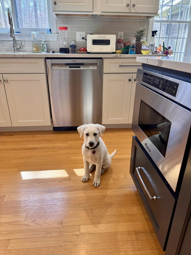 Little Bear thumbnail 3