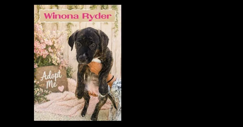 Winona Ryder thumbnail 6