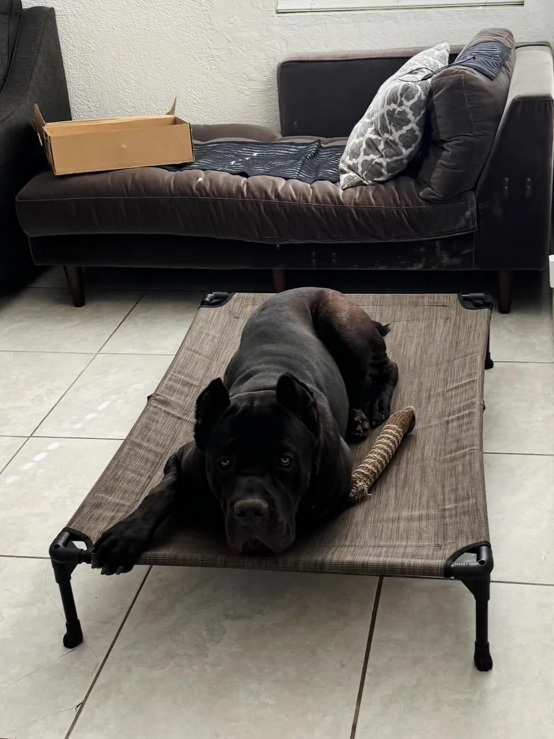 Biggie