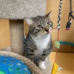 Oliver L thumbnail 2