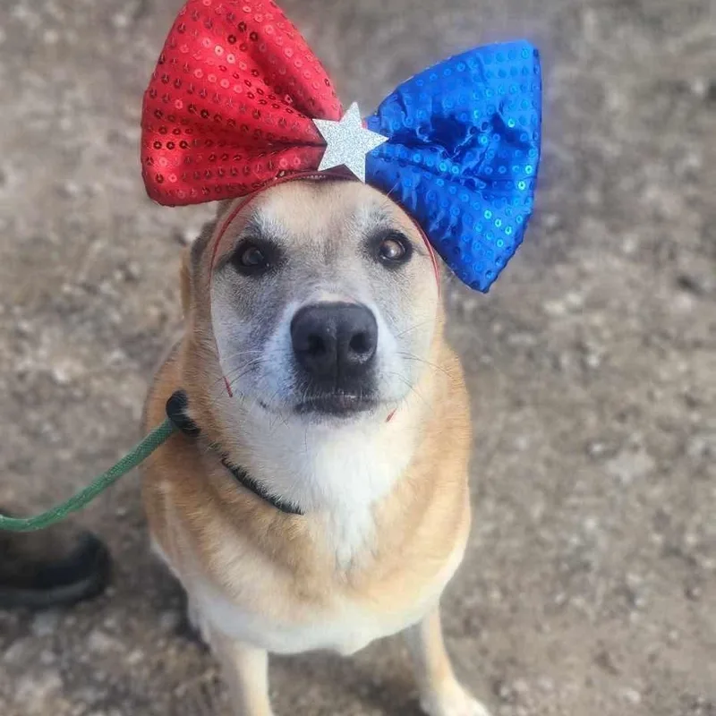 Daisy Mae thumbnail 2
