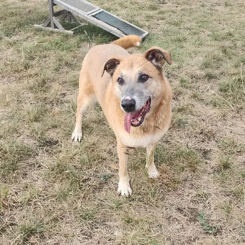 Daisy Mae thumbnail 3
