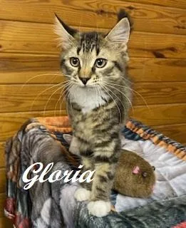Gloria