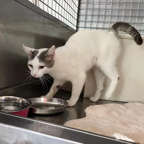 Chernobyl thumbnail 2