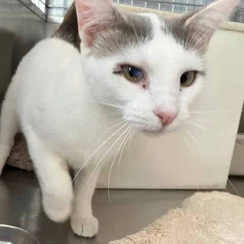 Chernobyl thumbnail 3