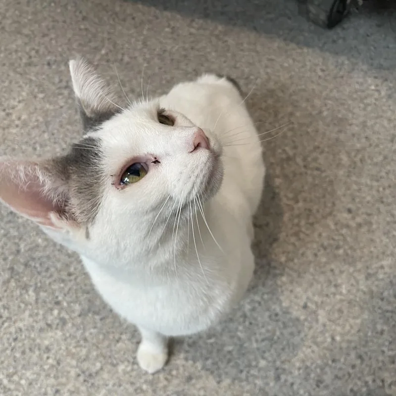 Chernobyl thumbnail 4