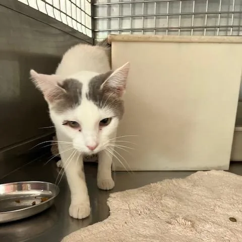 Chernobyl thumbnail 6