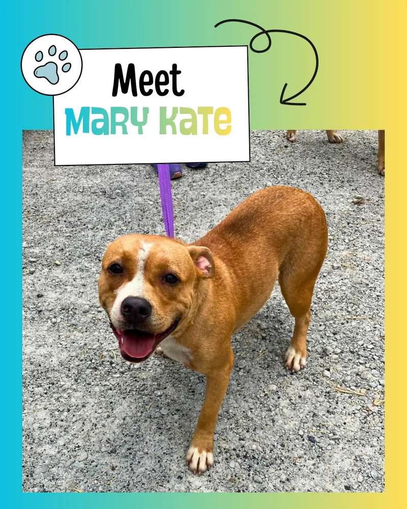 Mary Kate