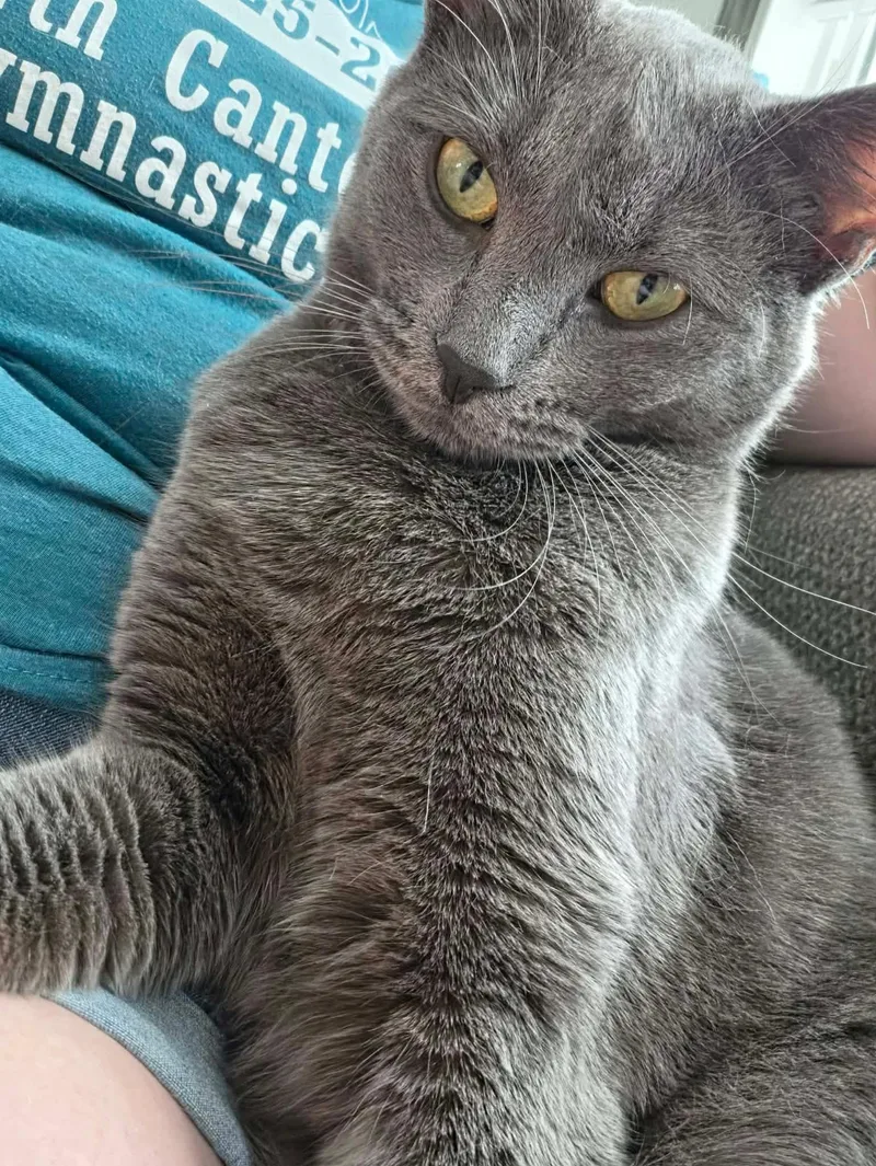 Smokey