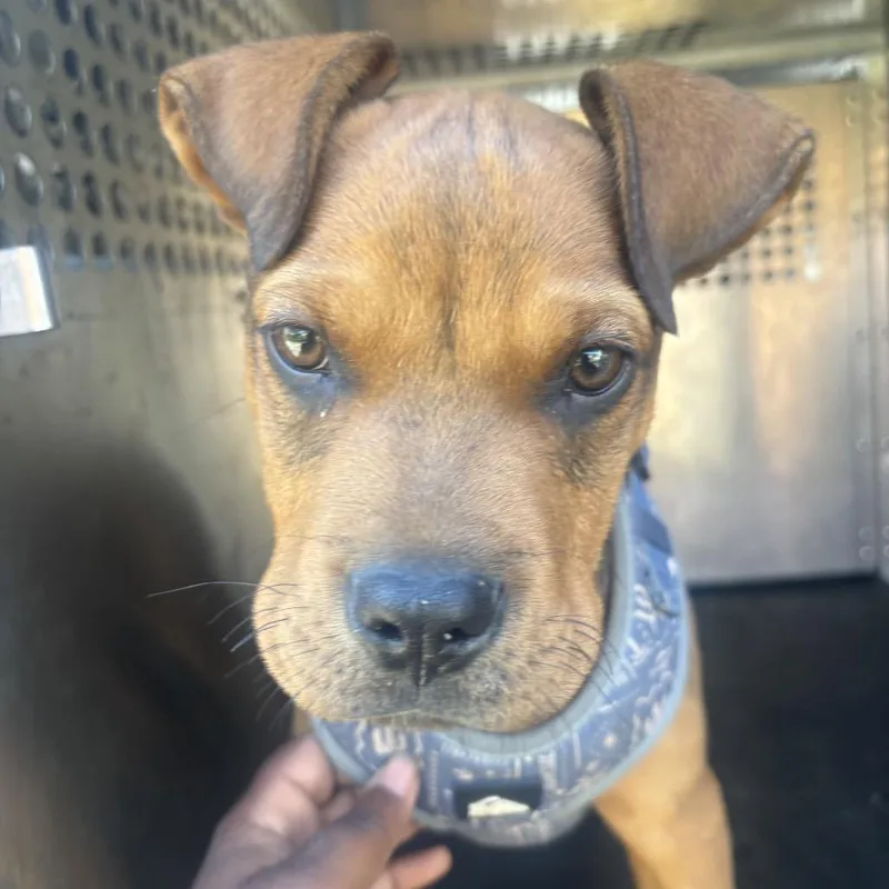 Jax