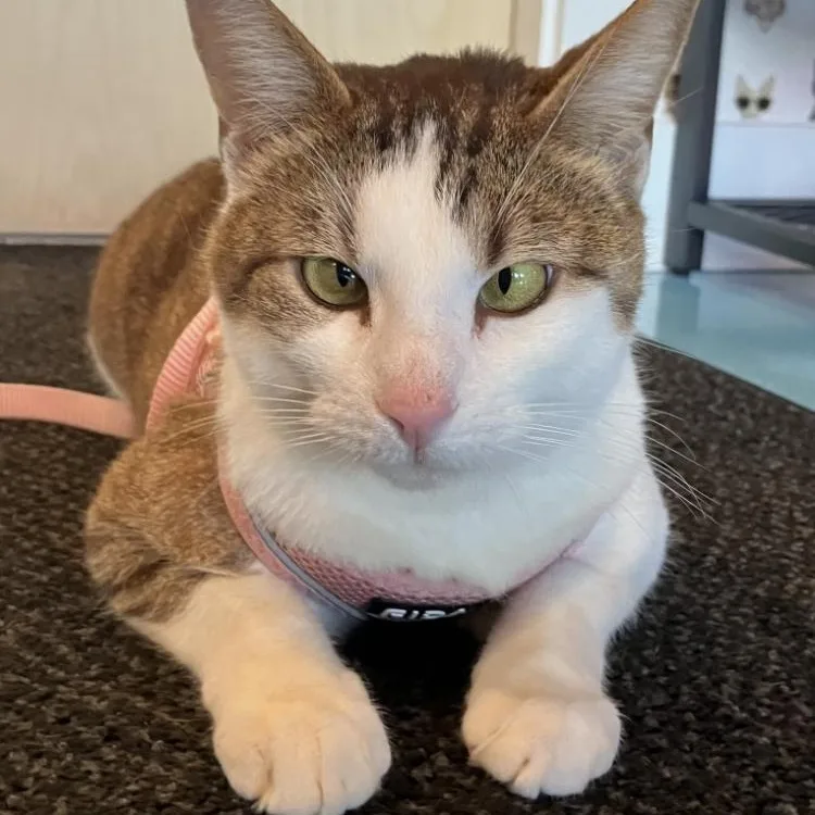 Edna