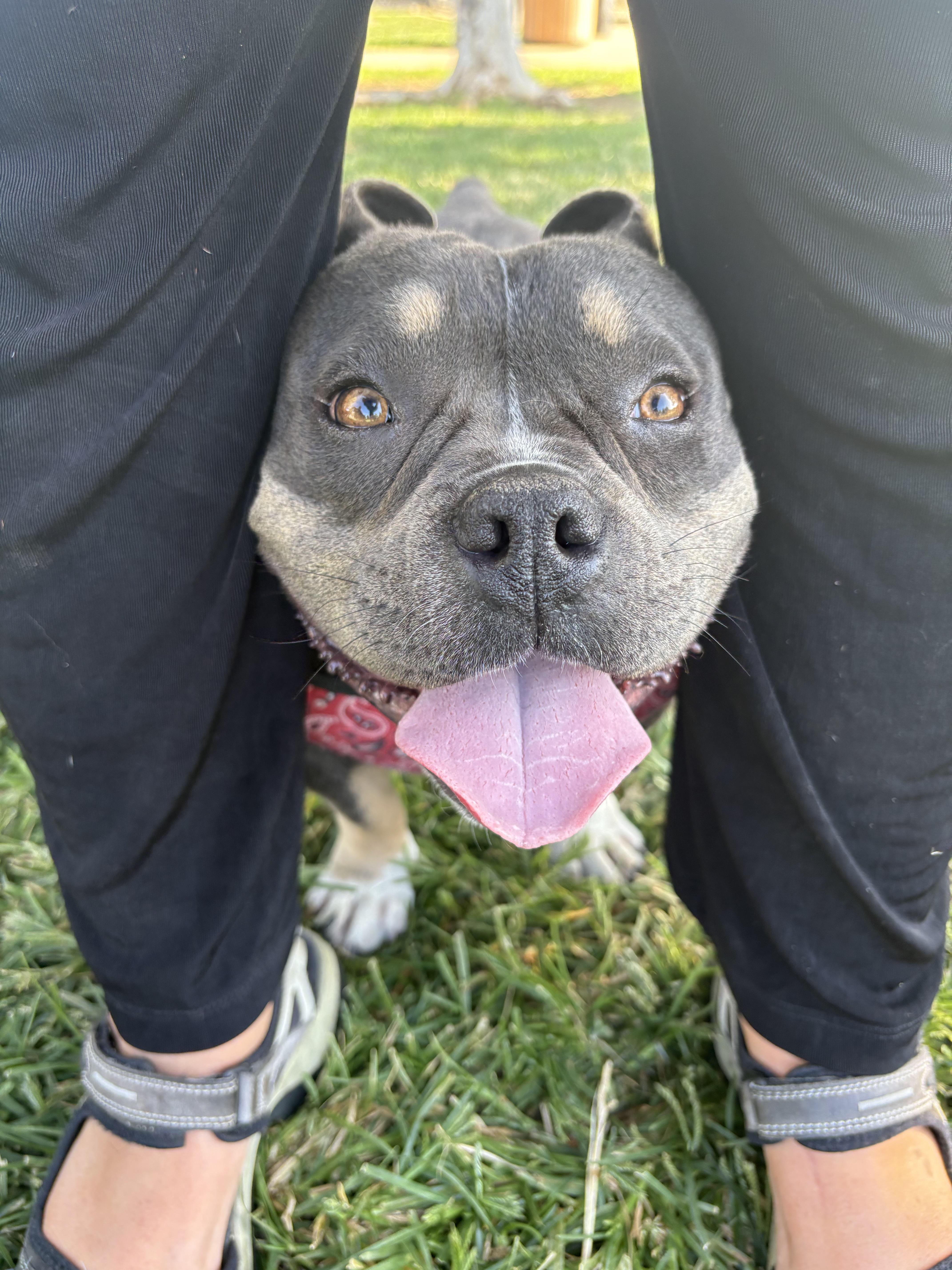 Petunia The Sweetest thumbnail 3