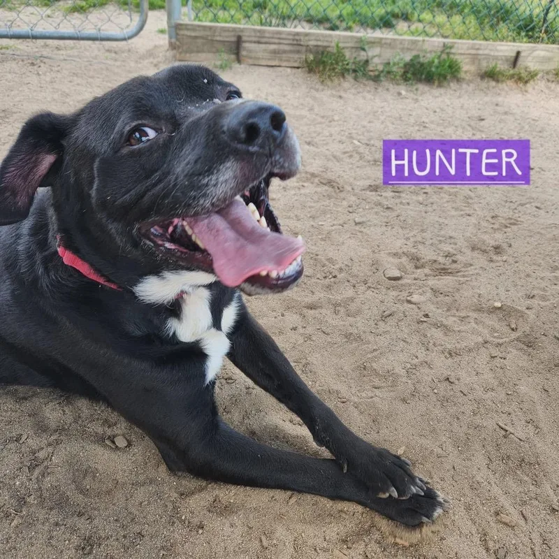 Hunter thumbnail 4