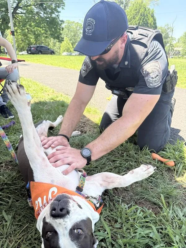 Snowball thumbnail 4