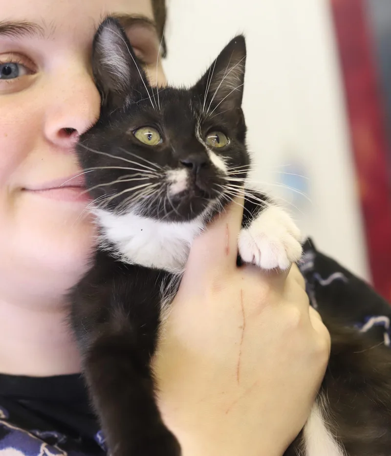 Alfie our love  thumbnail 4