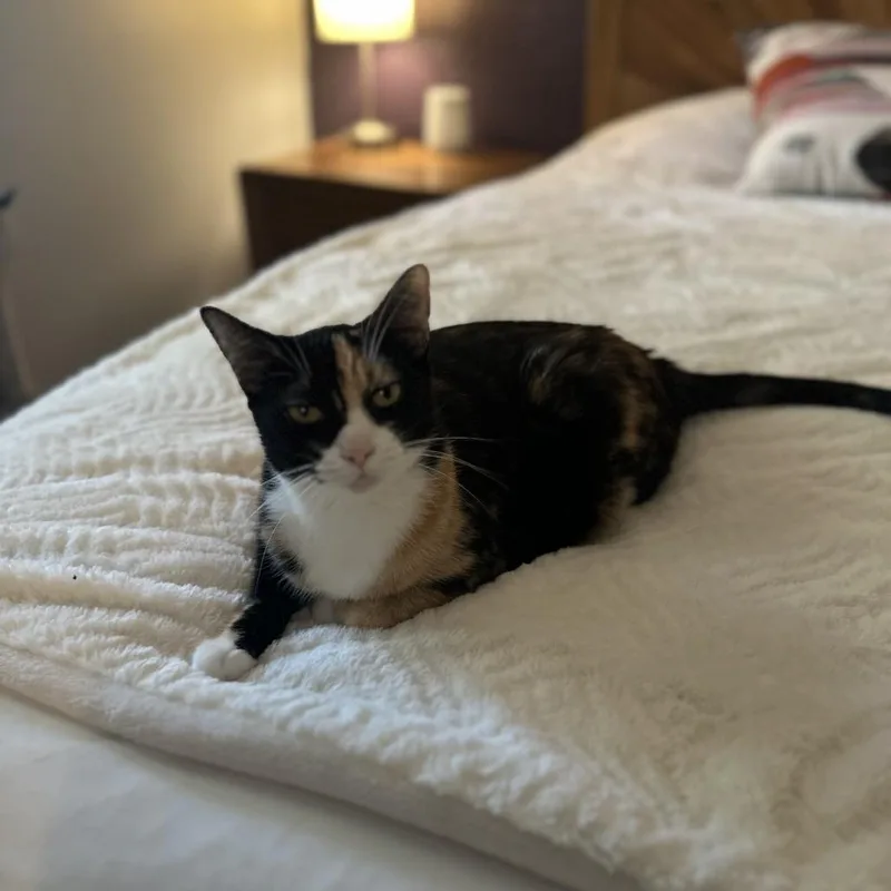 Mila