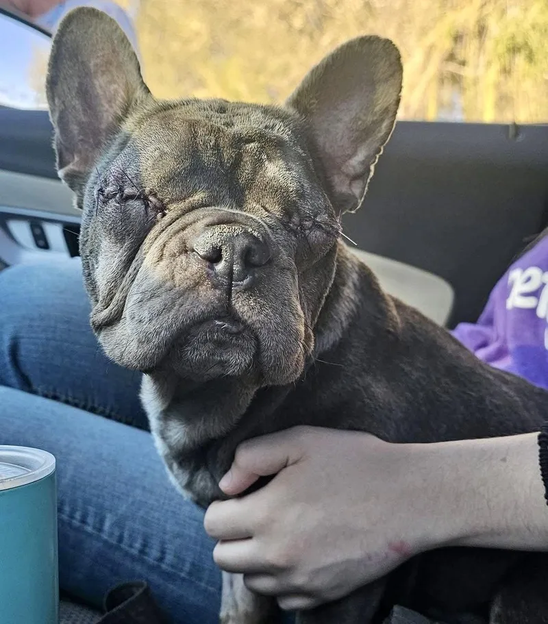 Meemaw Maddie thumbnail 3