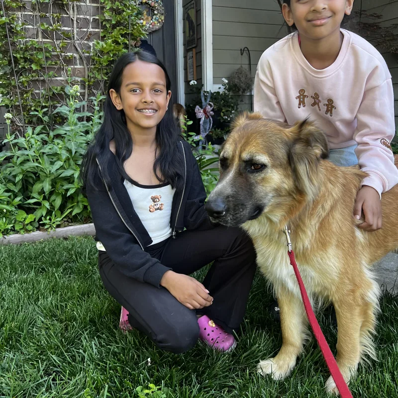 Clementine thumbnail 3