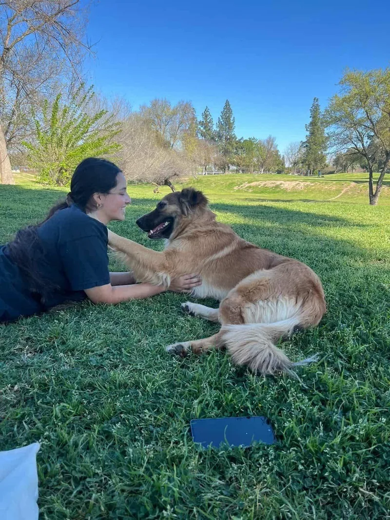 Clementine thumbnail 4