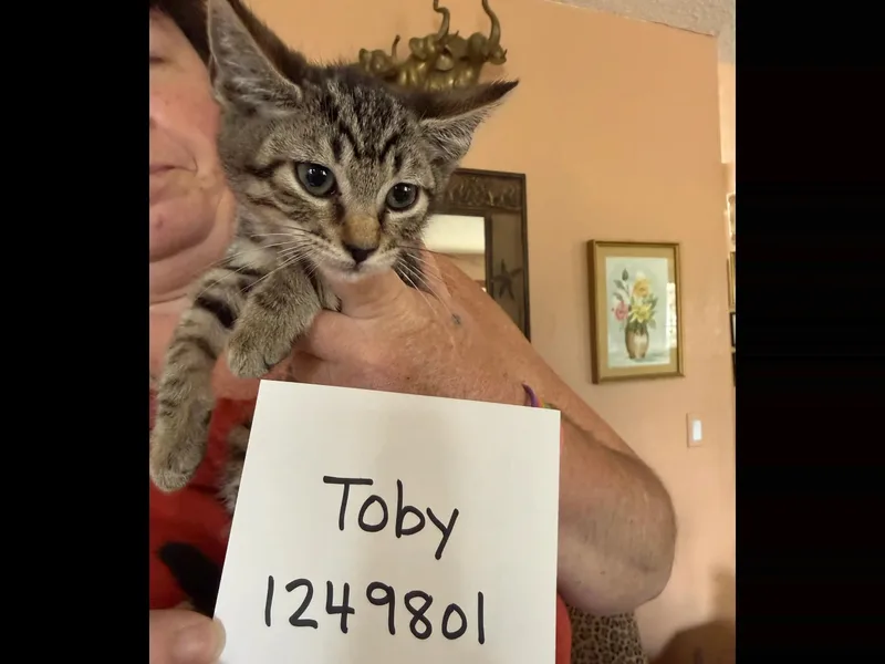 Toby thumbnail 2