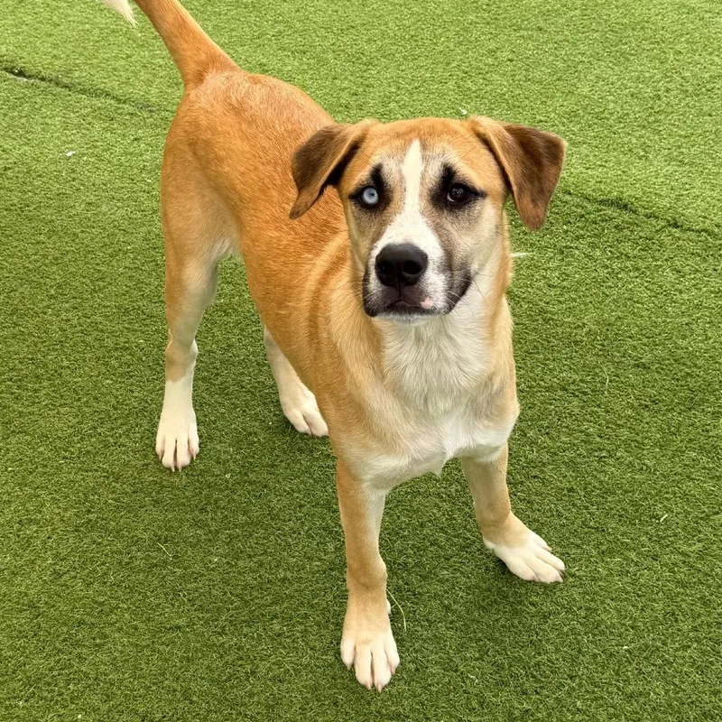 Snorlax Aka Sunshine