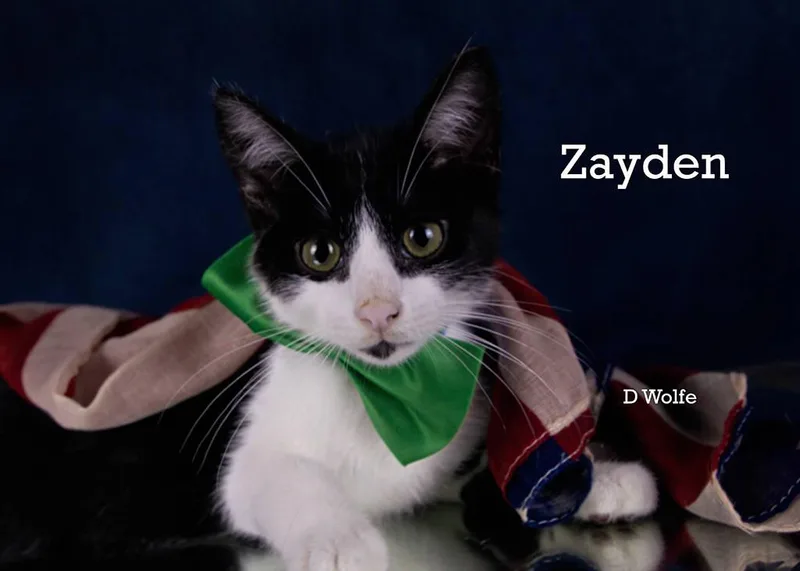 Zayden thumbnail 2