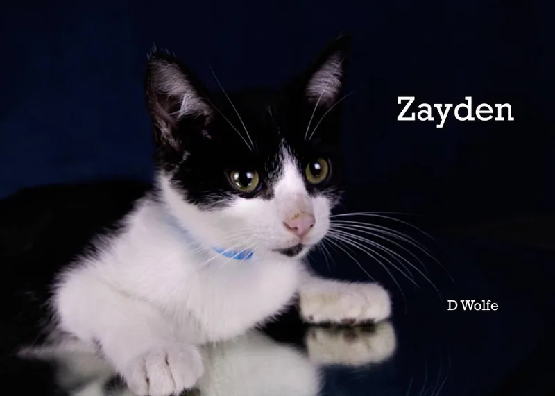 Zayden thumbnail 3