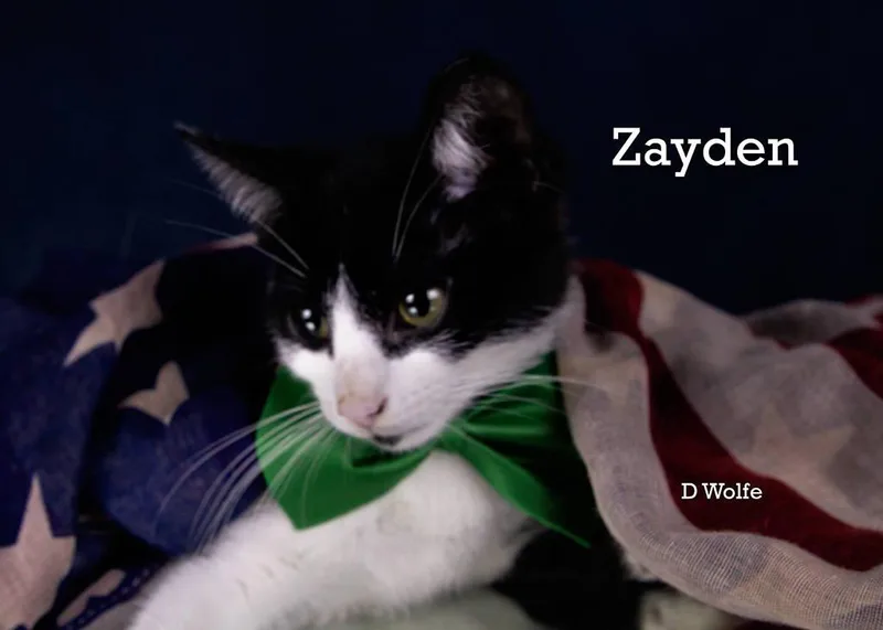 Zayden thumbnail 4