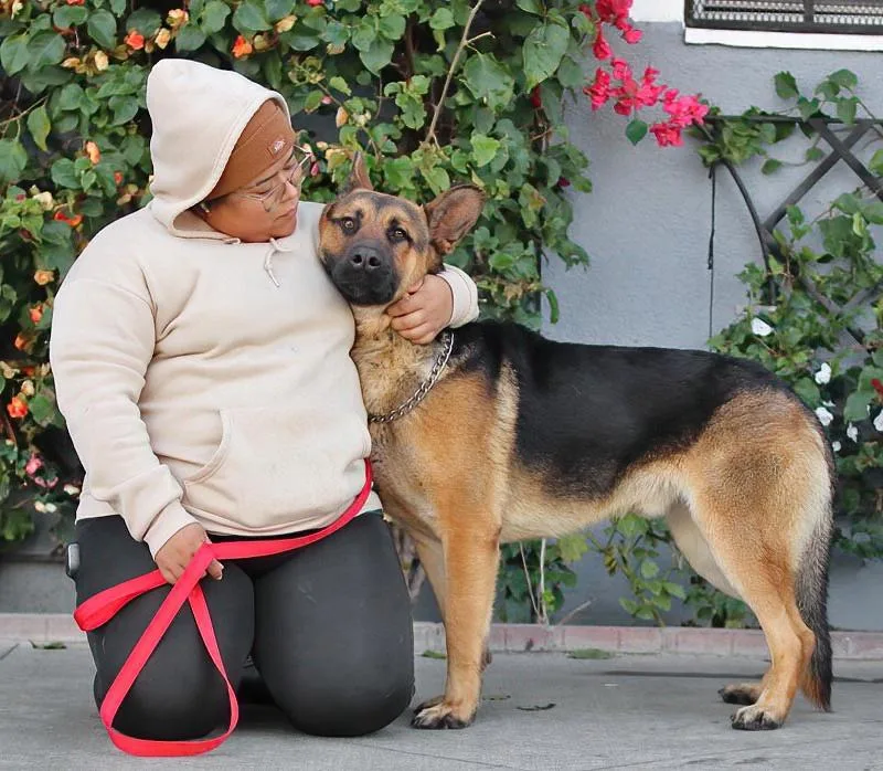 Mario Von Borod thumbnail 2