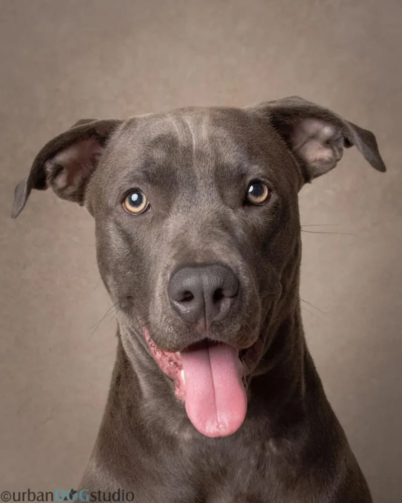 Madison  F thumbnail 2