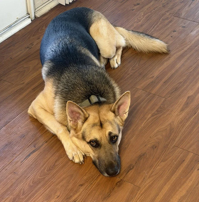 Titus