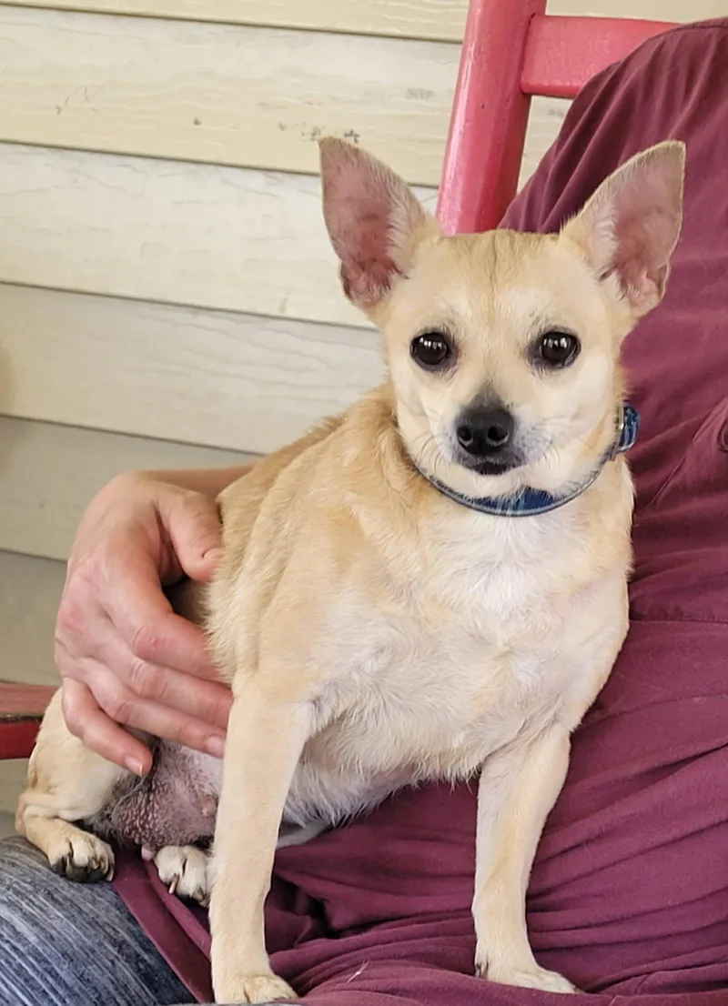 Sadie Hope Kirkland thumbnail 2