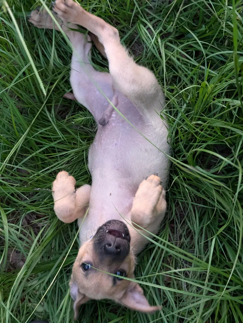 Charlie
